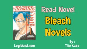 bleach novels