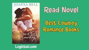 best cowboy romance books