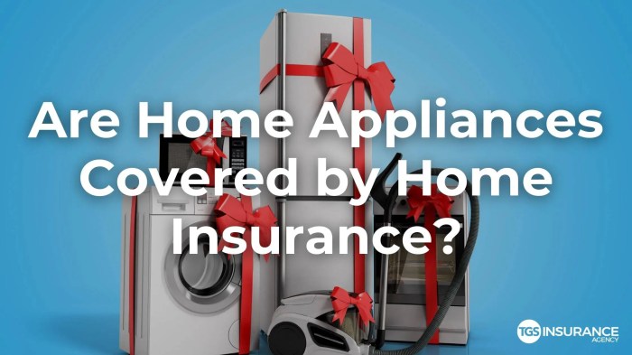 Home appliance insurance